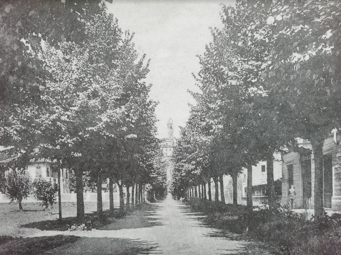 viale