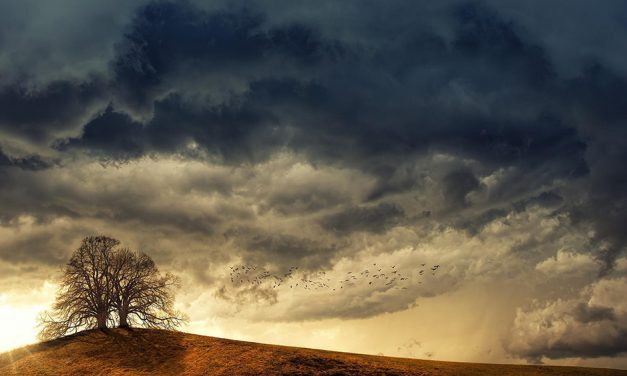Progetto meteorologia
