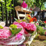 L’inform@zione on line – Gallarate, il giardino del liceo è tornato ad accogliere il pubblico