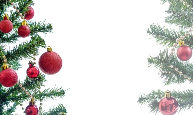 ORARIO UFFICI DI SEGRETERIA PERIODO NATALIZIO