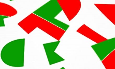 S. RAMON – Federico Montalbetti di 4B Liceo Scientifico in finale alle Olimpiadi di Italiano